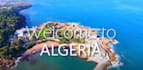 be your representative in algeria