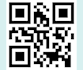 generate custom qr code for encoding anything