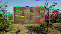 do machine learning deep learning computer vision tasks with python