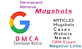 remove negative mugshots cases,articles,news and remove negative links on google