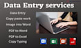 do fast data entry and convert PDF to excel