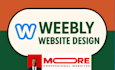 design or redesign a professional weebly website