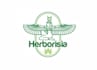 make memorable professional herbal logo for you