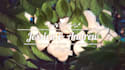 create a birthday, wedding, anniversary slideshow in 1 day