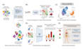 create scientific illustrations and medical figures