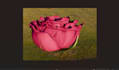 render realism 3d flower animation, 3d plant design,  rose flower design, cgi