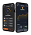 build cryptocurrency exchange website, p2p website, blockchain developer