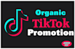 do organic tiktok promotion