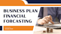 create an investors ready business plan, forecast and financial model