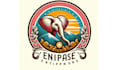 design new stylish elephant logo with express delivery