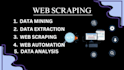 do professional web scraping and data mining