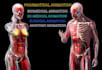 do 3d medical animation surgery animation anatomy biomedical explainer videos