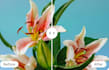 convert your image normal to HD quality