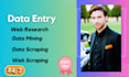 do excel data entry, web research, copy paste, and email finding