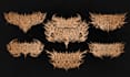 create an intense brutal death metal logo design