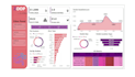 build excel or power bi sales dashboards for shopify amazon sellers
