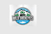 make professional new adventure company logo
