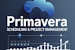 provide accurate primavera project scheduling management services