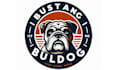 design moden bulldog logo