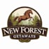 make awesome forest getaways horse and trees logo