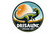 do modern dinosaur logo for you