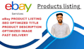 do ebay listing, ebay seo listing, ebay lister