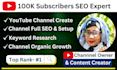 create and setup a professional youtube channel with monetization