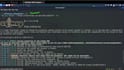 perform indepth vulnerability assessments and  pen testing