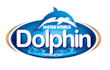 design wonderful dolphins logo