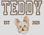digitize embroidery from any image you need