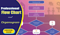 design professional flowcharts, organogram, and process flow