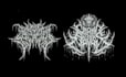 design a chaotic sludge or drone metal logo