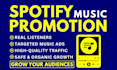 do spotify music promotion for audience growth
