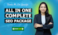 do all in one complete SEO package to get top google ranking for website