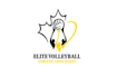 make sustainability volleyball logo design for you