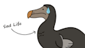 animate 2d doodle explainer video
