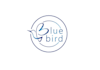 design blue bird coaching logo