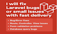 laravel expert fix bugs and small issues with quick service