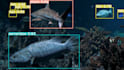 develop, train ai models for your computer vision projects