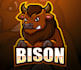 design custom bison ranch logo