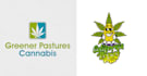 do custom cannabis weed and medical logo design