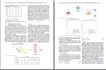 format paper to any of apa or ieee or mla styles in word