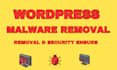 remove malware and install security in your website
