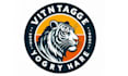 design professional lion, tiger logo