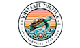 creative a awesome turtle logo design