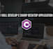 develop a professional csharp desktop application
