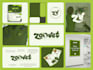 create a professional logo and complete brand identity