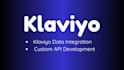 klaviyo data integration and custom API integration