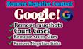 permanently remove mugshot cases,news articles from google
