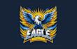 design high quality eagle mascot logo with express delivery